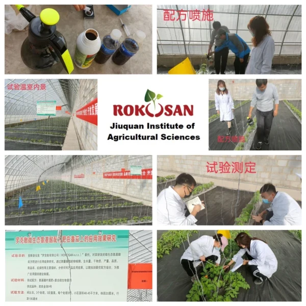 Spolupráca s Jiuquan Institute of Agricultural Sciences