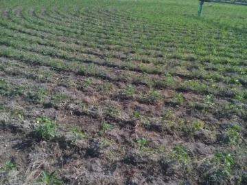 Rokosan na návšteve Agrokruhu