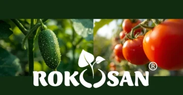 Probamos Rokosan en tomates y pepinos – ¡los resultados nos sorprendieron gratamente!