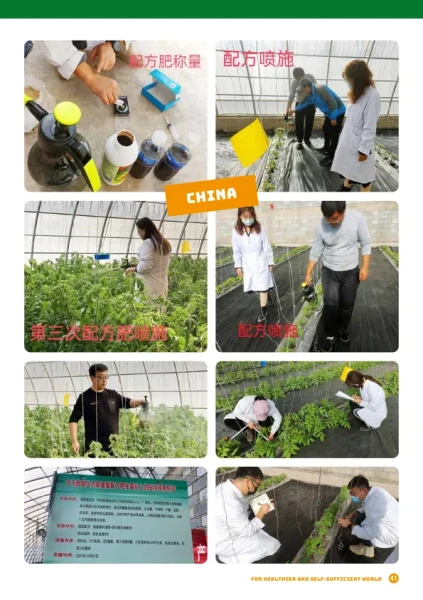 1779638373_48_1643822006-rokosan_katalog_a4_jan2021_dubai_v1_en_041.webp