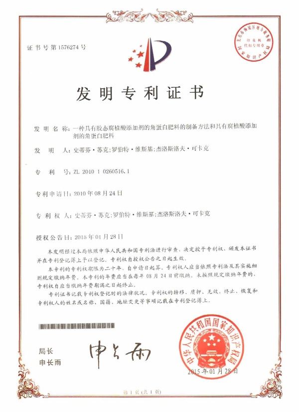 Patent China