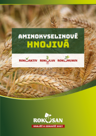 Katalog