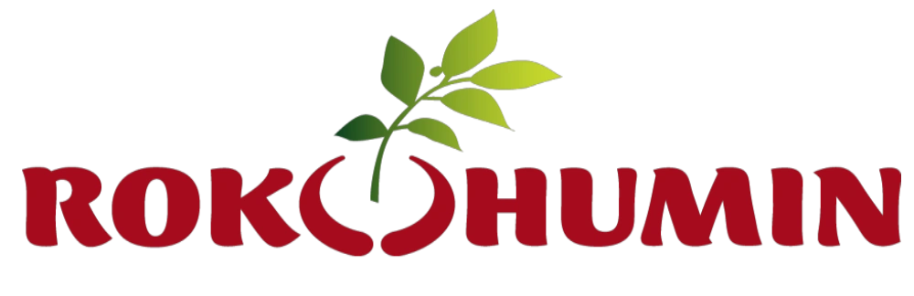 Rokohumín